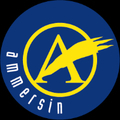 Logo von Rudolf Ammersin GesmbH