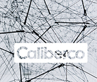 Logo von Caliber Consult GmbH Logo von Caliber Consult GmbH
